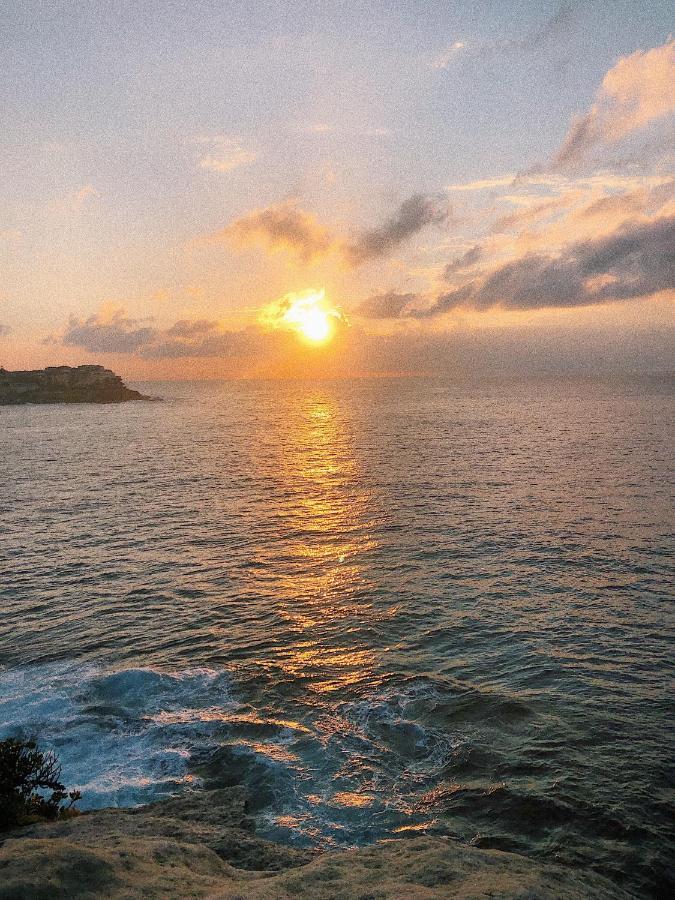Beach To Home In 3 Minutes: Bondi N Sydney Esterno foto